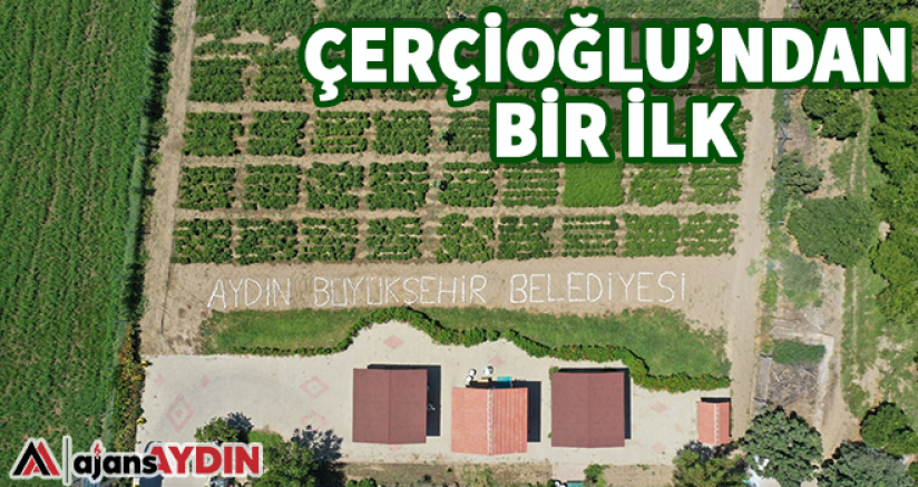Çerçioğlu'ndan bir ilk