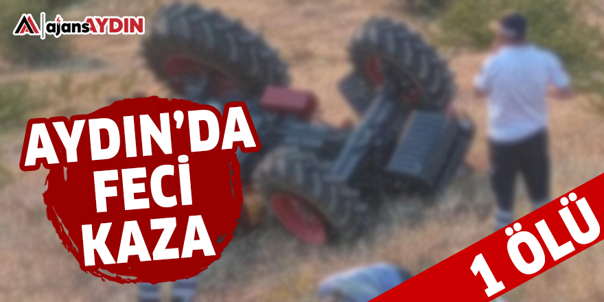 Aydın'da feci kaza